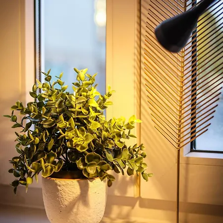 Bohnapartments Am Anger 1 Og - 3 Badezimmer - 4 Schlafzimmer - Zentrum - Vollausstattung - Wlan Erfurt